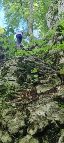 Hexenküche (Premiumspazierwanderweg)