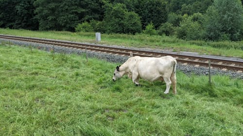 Lahnwanderweg Etappe 2: Feudingen - Bad Laasphe