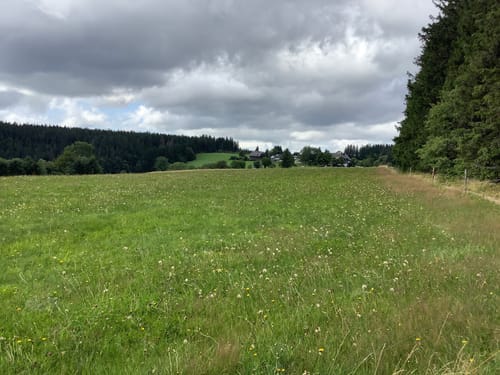 Heilklima-Steig (Genießerpfad)
