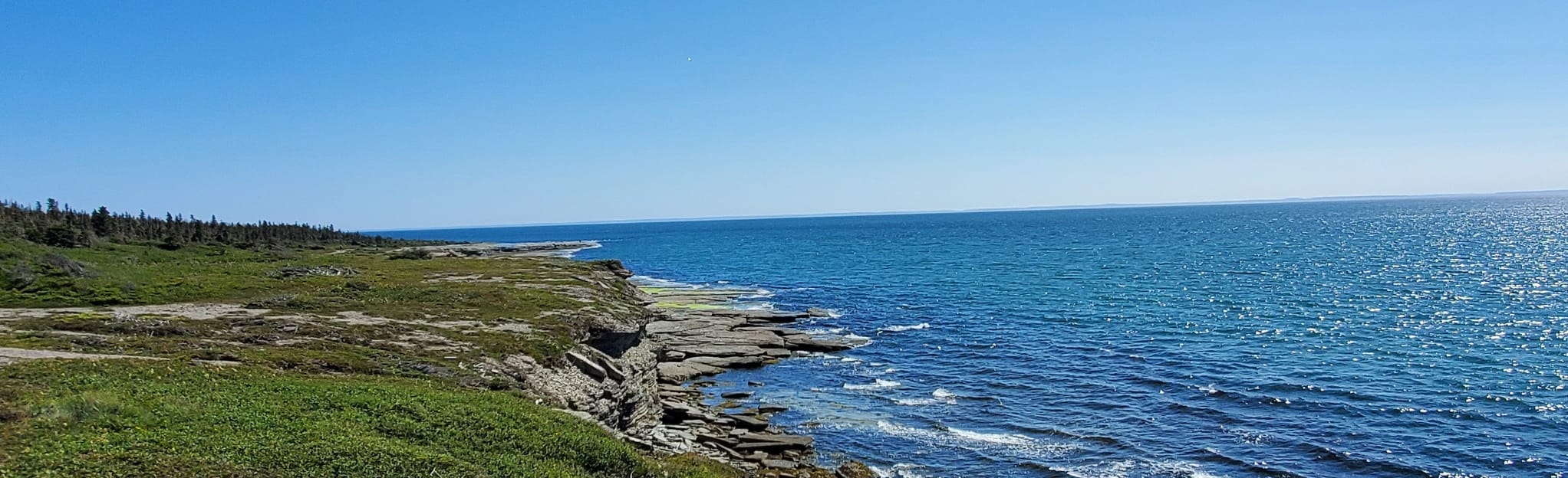 Cap Ferré Trail, Quebec, Canada 51 Reviews, Map AllTrails