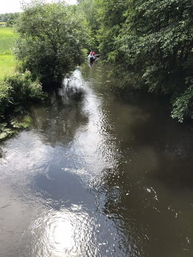 Hirschpfad Reitweg