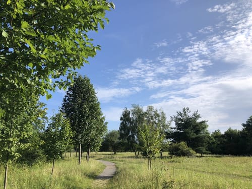 Heilbronner Waldheide und Stadtsee