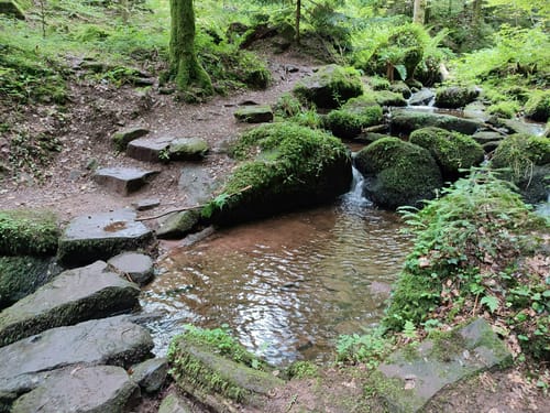 Durch das wildromantische Schweinbachtal zur Bruderhöhle
