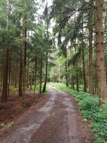 Arnstorfer Wanderroute 2 "Panoramaweg"
