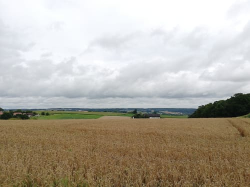 Arnstorfer Wanderroute 2 "Panoramaweg"