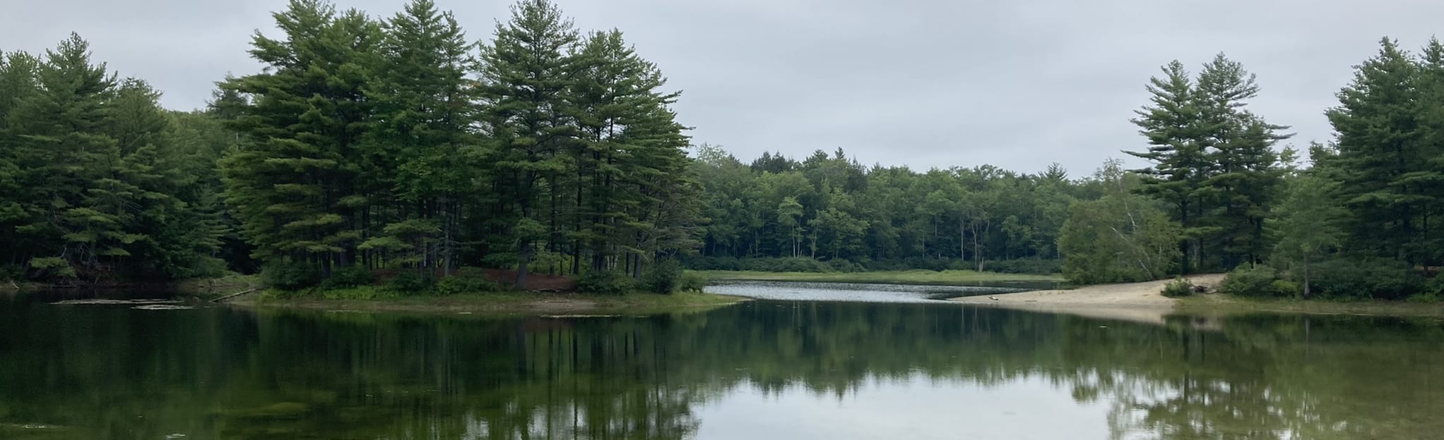 Piney Woods 84 Fotos Maine AllTrails