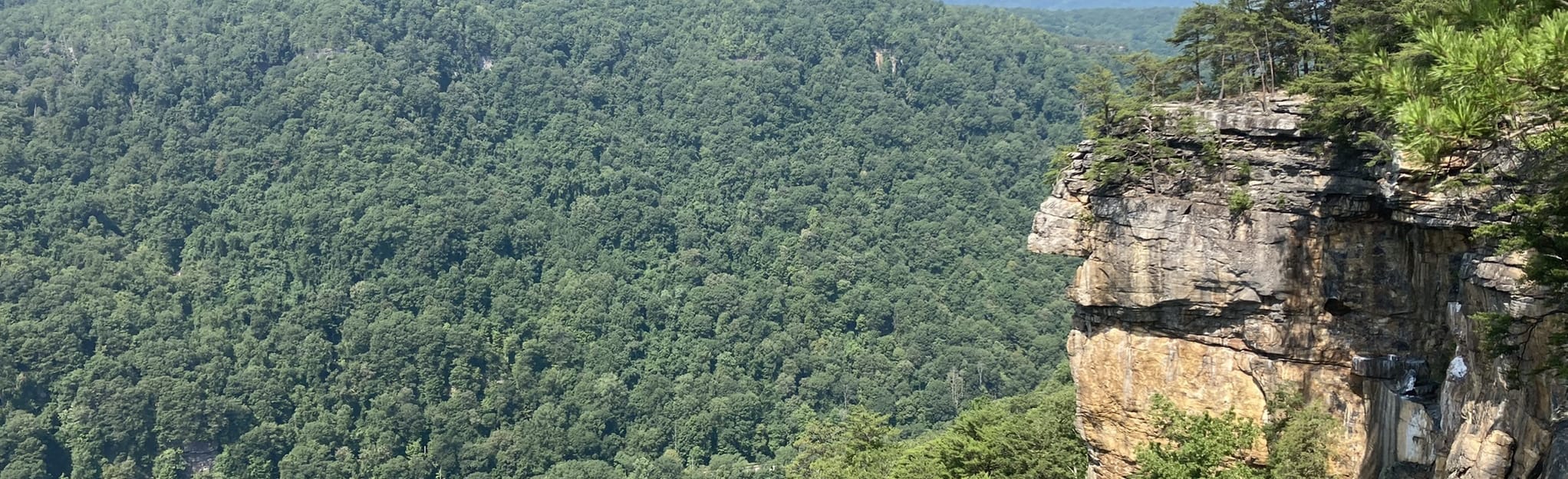 Diamond Point Overlook via Endless Wall Trail, West Virginia 1,658