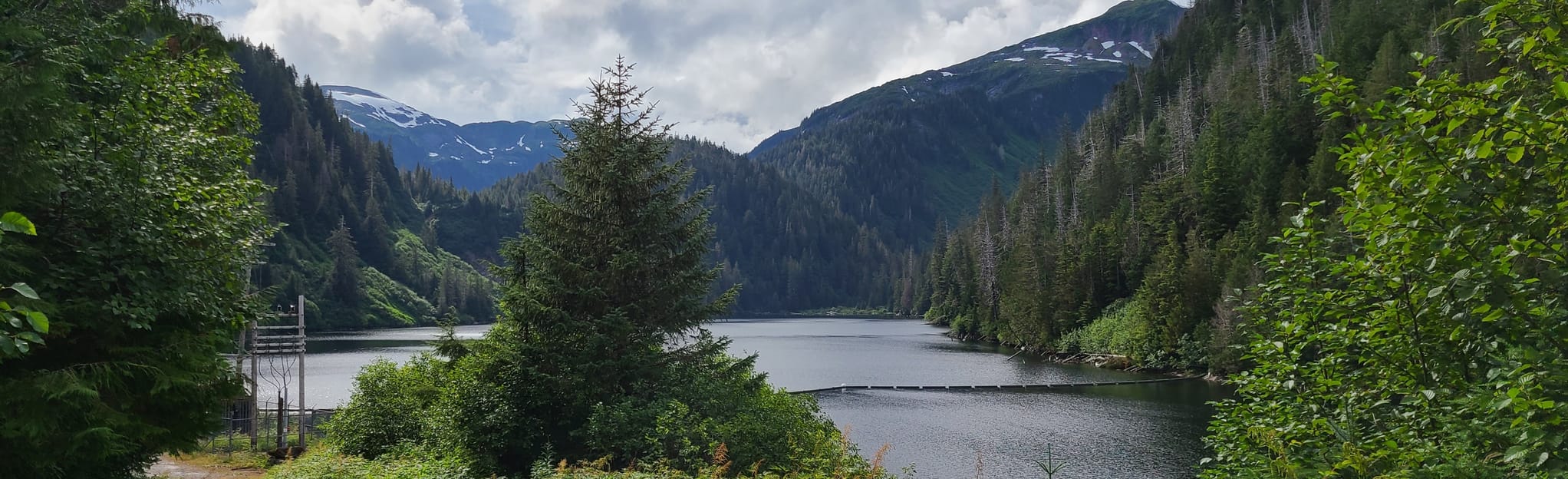 John Mountain Trail, Alaska 22 Reviews, Map AllTrails