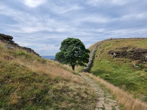 northumberland mountain bike trails