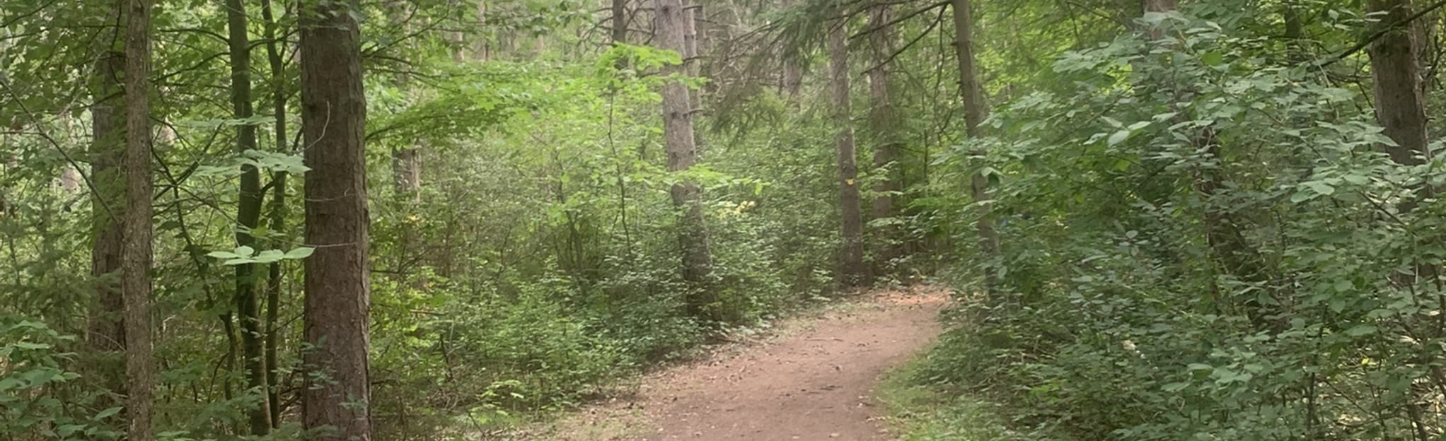 Trail 23 Loop 120 Reviews, Map Ontario, Canada AllTrails