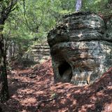 Levis/Trow Mounds Trail, Wisconsin - 268 Reviews, Map | AllTrails