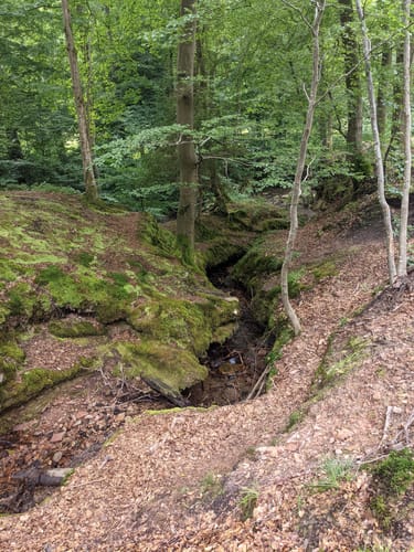 Niemerundweg