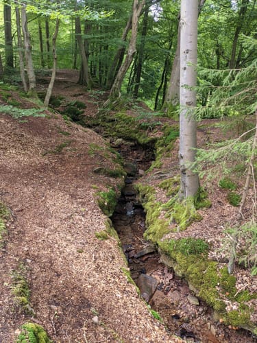 Niemerundweg