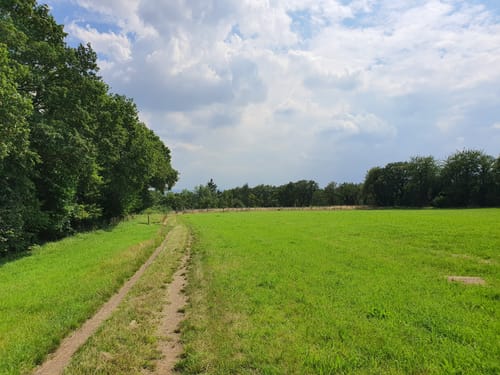 Panoramaweg von Rodenbach