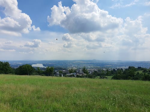 Panoramaweg von Rodenbach
