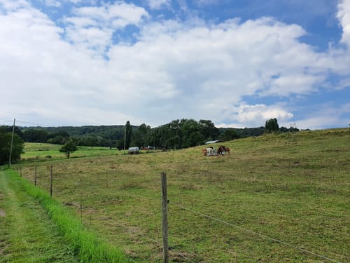 Panoramaweg von Rodenbach