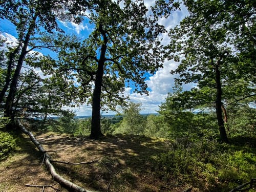 Wanderung um Hörstel