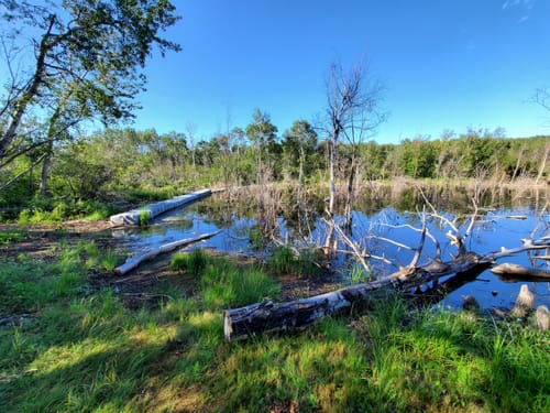 Best Hikes and Trails in Dillberry Lake Provincial Park | AllTrails