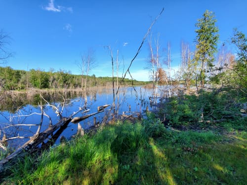 Best Hikes and Trails in Dillberry Lake Provincial Park | AllTrails