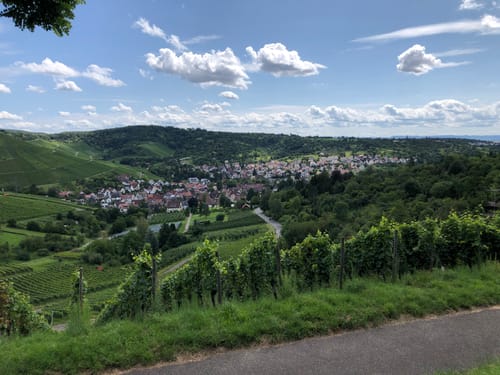 Von Obertürkheim über die Weinberge