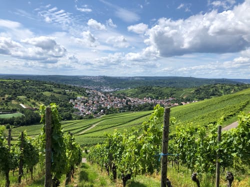 Von Obertürkheim über die Weinberge