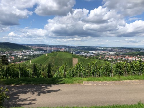 Von Obertürkheim über die Weinberge