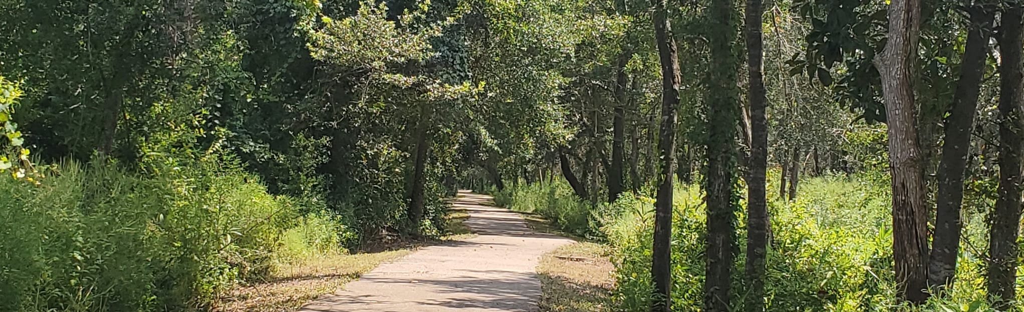 Coffee Creek Recreational Trail, Mississippi 46 Reviews, Map AllTrails