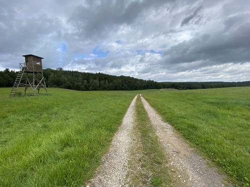 Um Altenhof