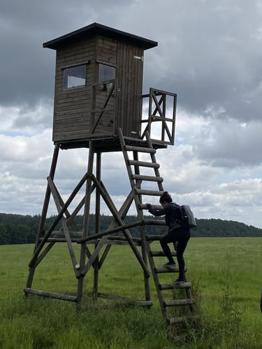 Um Altenhof