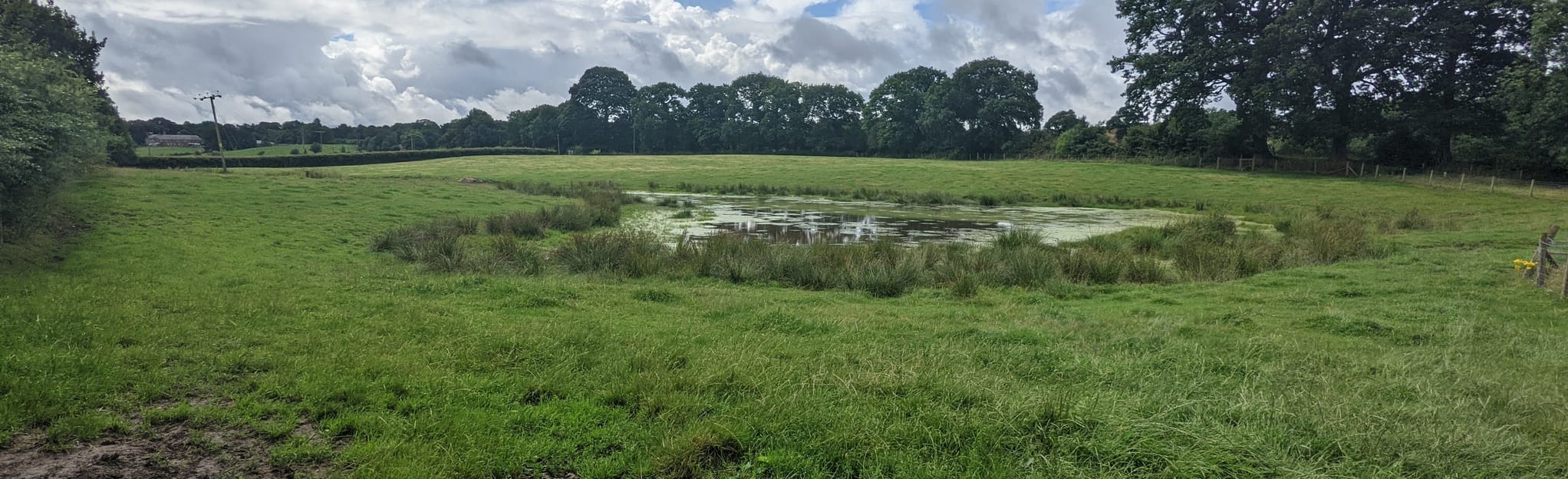 Clock House Wood, Stormy Point, and Castle Rock, Cheshire, England 67