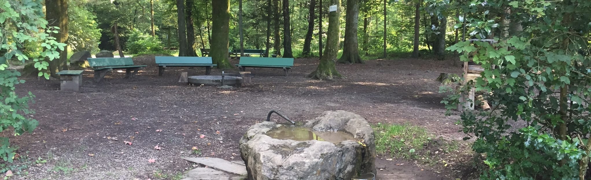 Däniken Tann Rundweg 2 Fotos Solothurn, Schweiz AllTrails