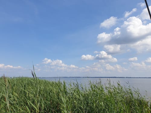Steinhuder Meer Rundweg