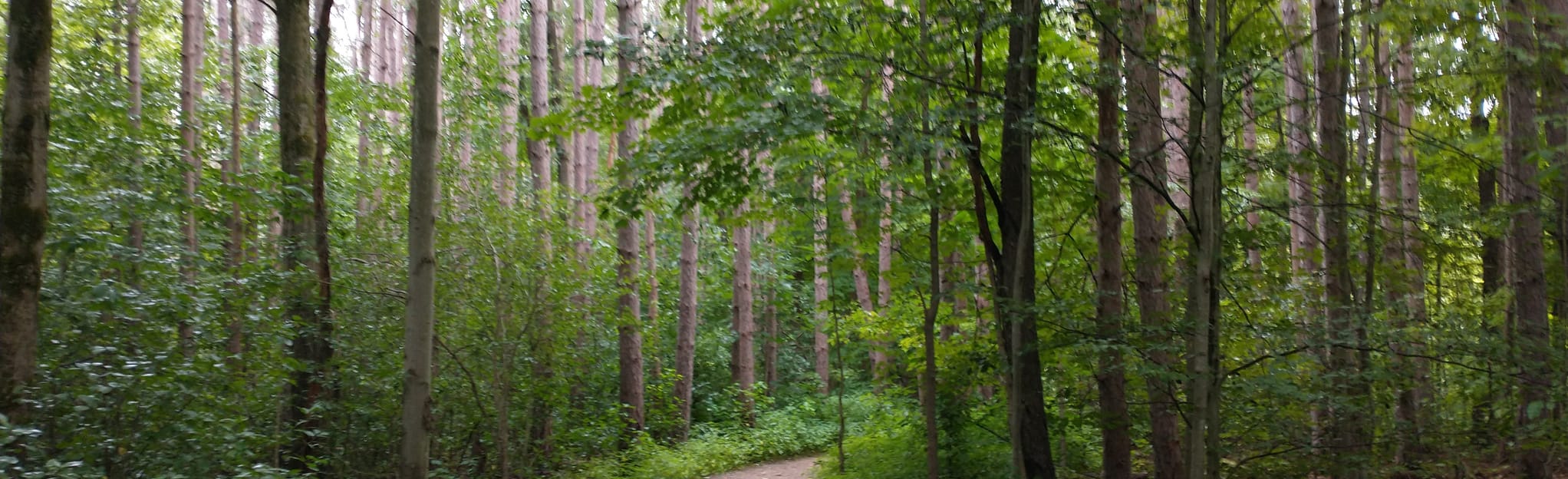 Pioneer Bridle, Affelder Link, and Waterfall Trail 57 Reviews, Map