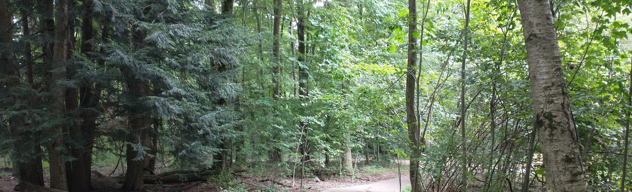 Welton's Overlook Trail and Dogwood Trail, Ohio 67 Reviews, Map