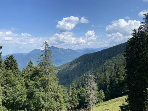 Friedenrath und Hochplatte ab Niedernfels