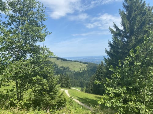 Friedenrath und Hochplatte ab Niedernfels