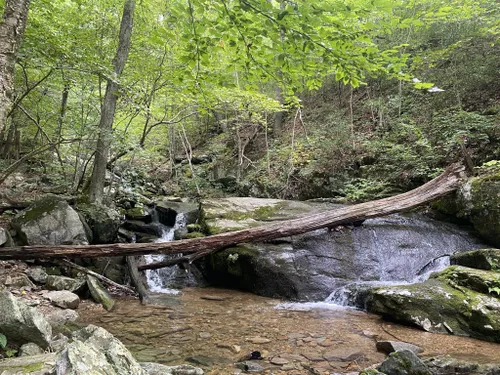 10 Best Waterfall Trails in George Washington and Jefferson National ...