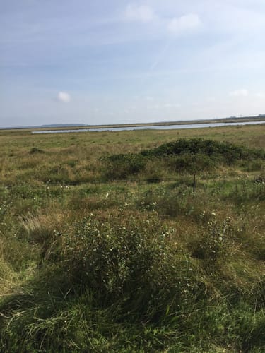 Insel Hiddensee ab Neuendorf