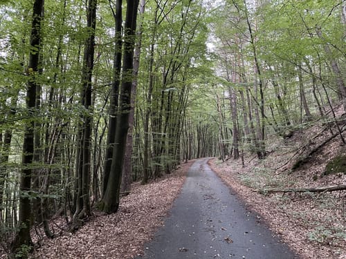 Linden - Krickenbach