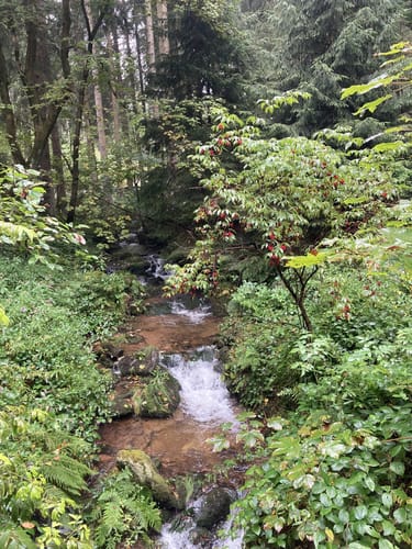 Talsperre Sosa Großer Rundweg