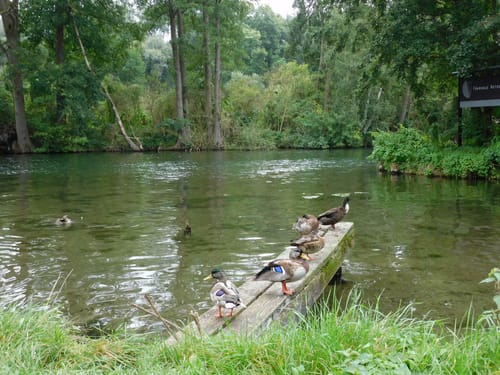 Rund um den Ratzeburger See