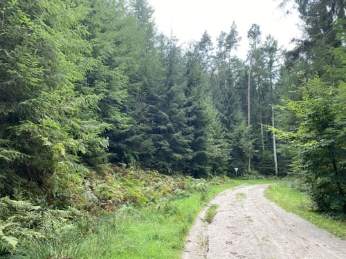 Hasselbrack Rundweg