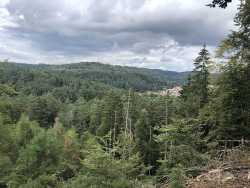 Eppenbrunner Rundweg zum Teufelstisch, Hohlen Felsen und dem Eulenfels