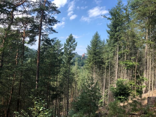 Erlenbach - Burg Berwartstein - Seehofweiher
