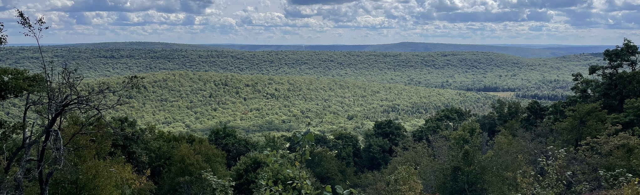 Longberger, Tussey Mountain, Jean Aron, Bear Meadow, and Mid-State ...