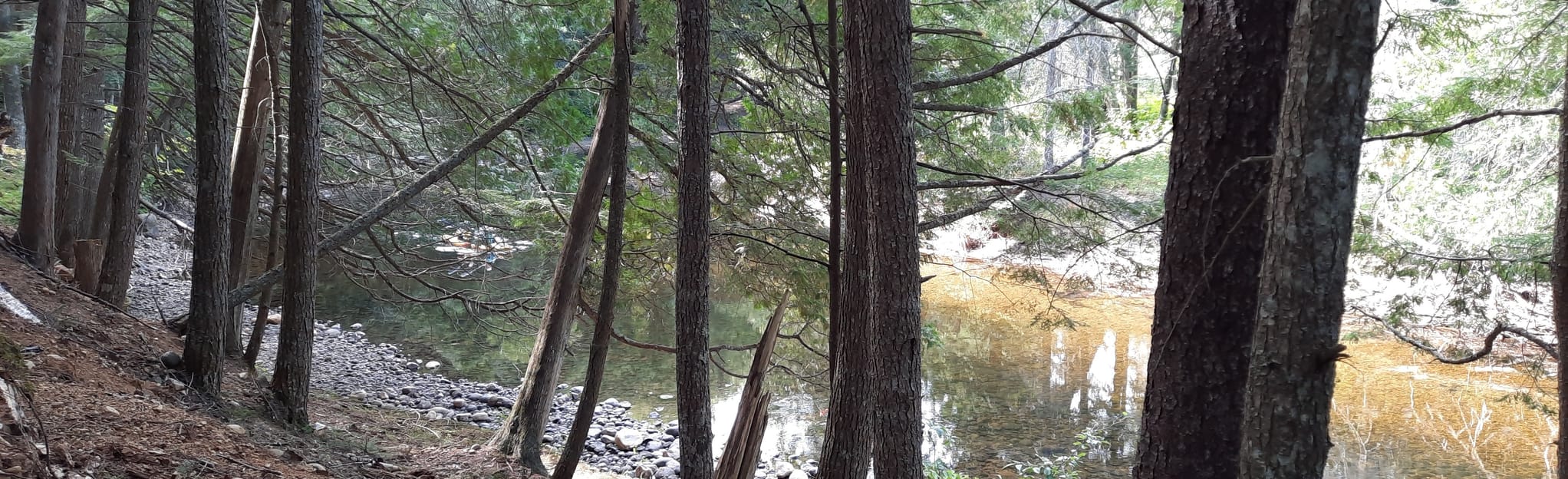 Petite Nation River Paddle Route 9 Reviews, Map Quebec, Canada