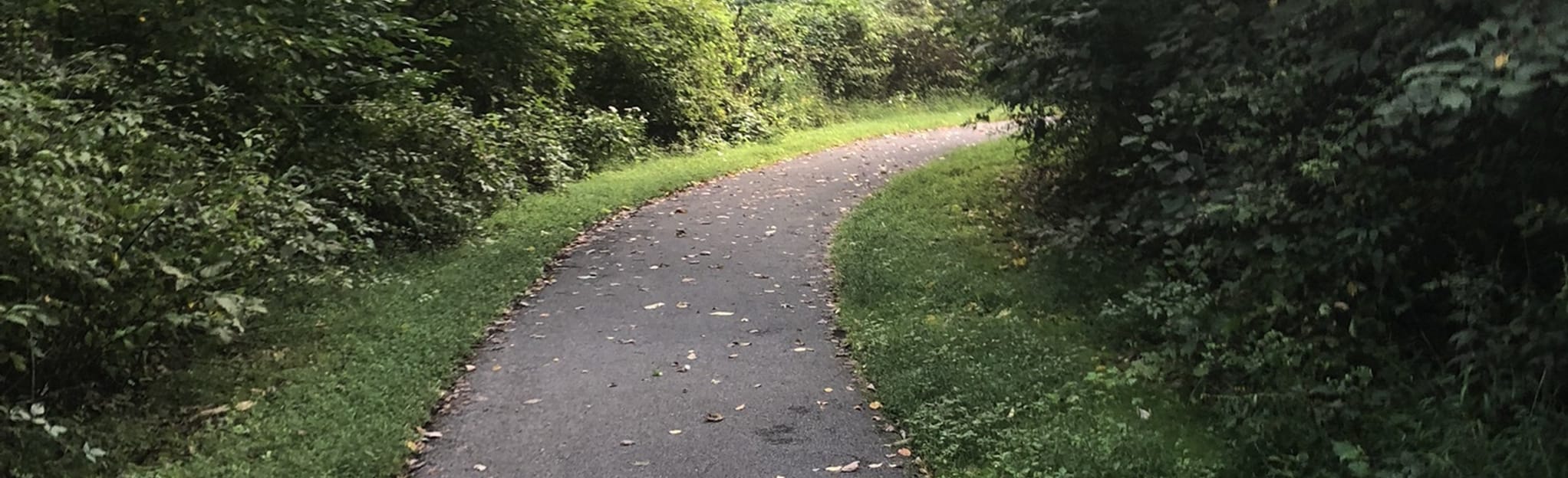 Swatara Trout Run Loop 98 Reviews, Map Pennsylvania AllTrails