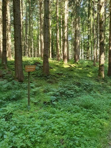 Aitracher Illerweg