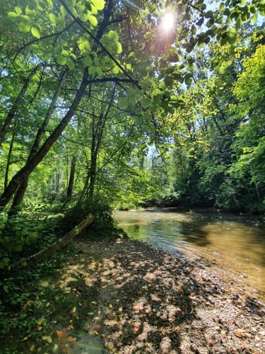 An Iller, Aitrach und Rappenbach Rückhaltebecken