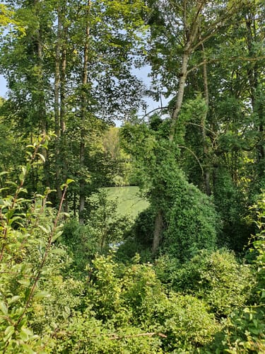 An Iller, Aitrach und Rappenbach Rückhaltebecken